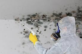 Best Residential Mold Inspection & Testing  in South Apopka, FL